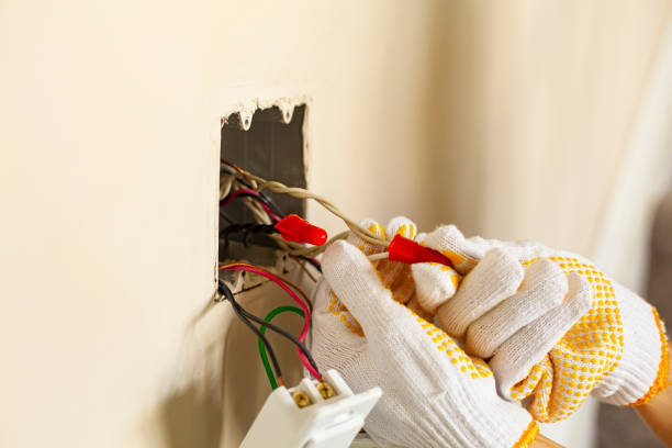 Best Electrical Panel Upgrades  in Vivian, LA